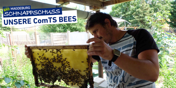 Ein ComTS Mitarbeiter, der den Bienenstamm hochhält 